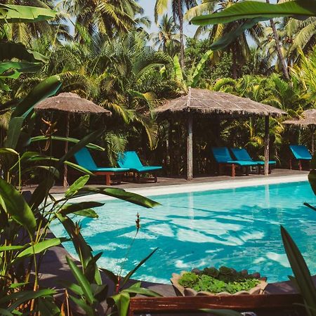 Devarya Wellness Beach Resort Morjim Exterior foto